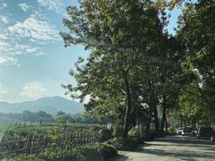 -中国茶叶博物馆(双峰馆区)