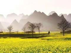 -万峰林风景区