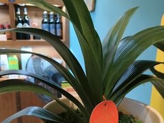 -盛世川王•幸福里(长虹店)