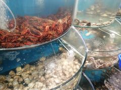 -仙螺岛海鲜自助餐厅(总店)