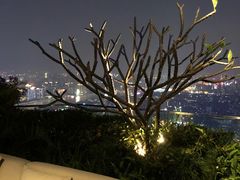 -广州柏悦酒店·悦吧·顶楼露天酒吧