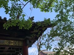 -碑林公园