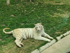 -北京野生动物园