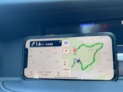 -千年银杏谷文化旅游区