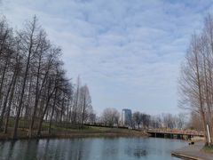 -上海山野camping·户外天幕烧烤·团建拓展营地