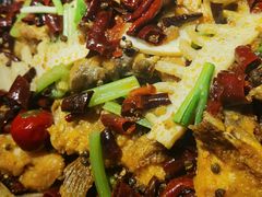 -老板恋上鱼(恒隆广场店)