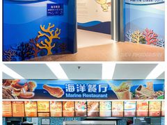 -上海海洋水族馆