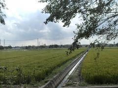 -蓝精灵乐园·世茂精灵之城主题乐园