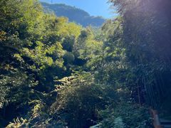 -藏龙百瀑风景区