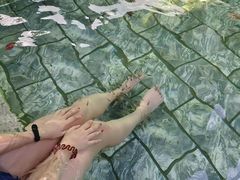 -汤山一号温泉度假区
