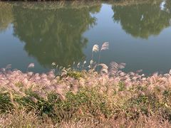 -乌龙涧铁道铁轨景