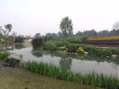 -天府芙蓉园