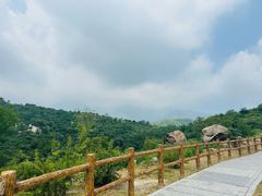 -白水寺森林公园