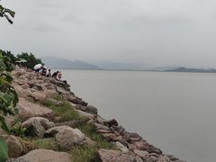 -深圳湾公园(南山区)