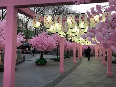 -金茂览秀城