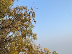 -香山公园