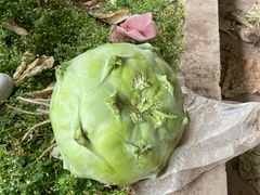 -万源龙顺度假庄园生态观光园