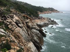 -广东惠东海龟国家级自然保护区