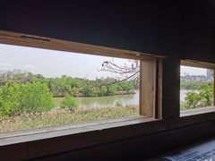 -华侨城湿地公园