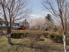 -金狮麟·新豫菜(杏石口路店)