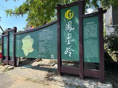 -北京凤凰岭