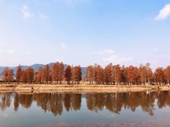 -四明湖