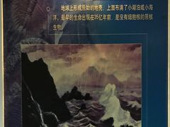 -吉林省自然博物馆