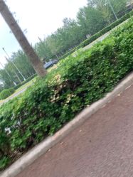 -HEYAN长风荷妍专业脱毛美肤
