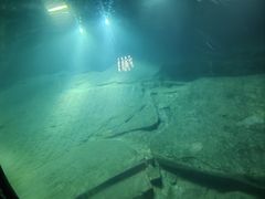 -白鹤梁水下博物馆