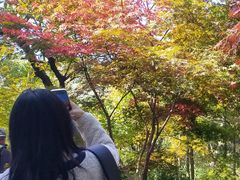 -青岛崂山太清宫