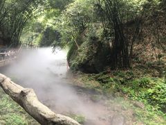 -川西竹海景区
