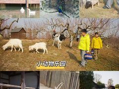-乌村
