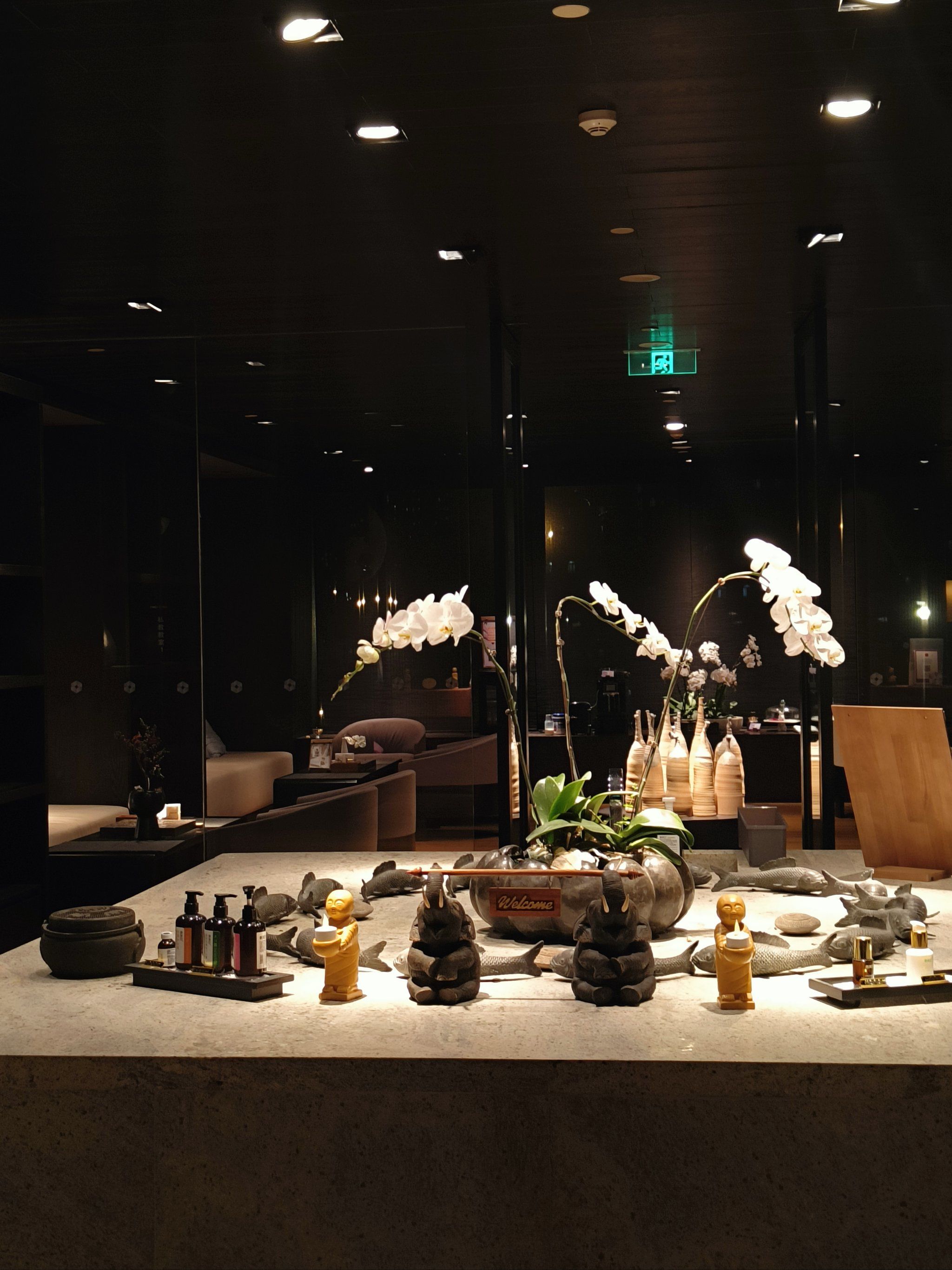 光谷高端spa护理