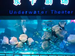 -泉城欧乐堡海洋极地世界