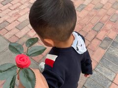 -保利和乐高顿国际幼儿园(龙苑澜岸分园)