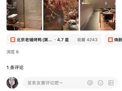 -北京老铺烤鸭(第五国际店)