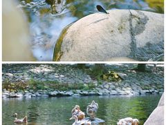 -鹿亭中村