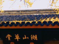 -宝界山林公园
