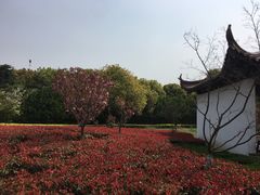 -海天禅寺
