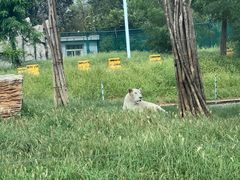 -秦皇岛野生动物园
