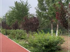 -永定河休闲森林公园