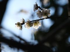 -石湖景区