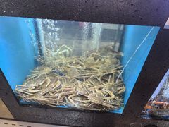 -鲜味食族水产·海鲜餐厅