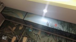 -PE SALON