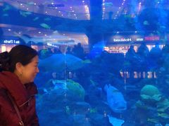 -成都浩海立方海洋公园