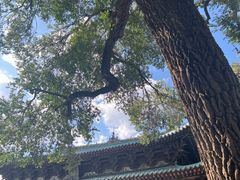 -晋祠公园