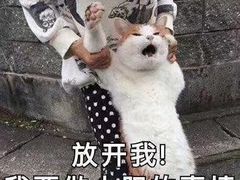 -谭记老字号跳跳蛙·香辣蟹.专注二十年(滨江店)