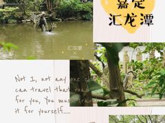 -汇龙潭