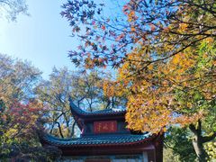 -岳麓山风景名胜区