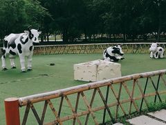 -长春公园(普阳街道)